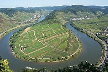 Die Mosel zwischen Eller und Neef